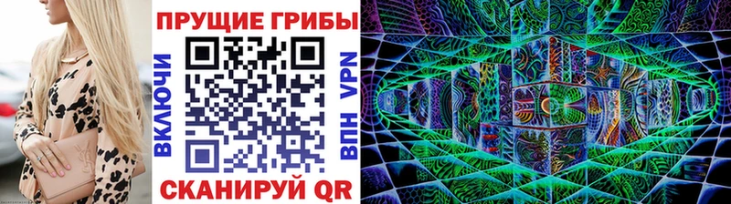 купить наркоту  Лосино-Петровский  omg маркетплейс  Псилоцибиновые грибы ЛСД 